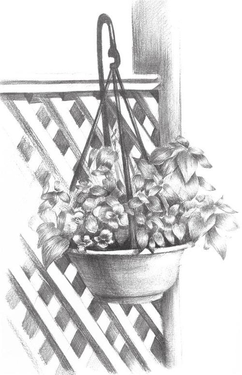 北京画室_素描栅栏花藤的绘画教程