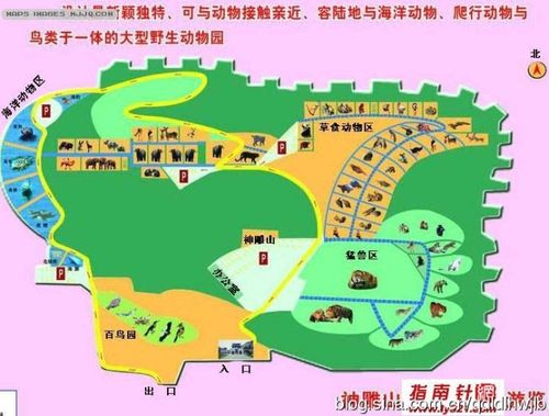 6.21,28石岛赤山,神雕山野生动物园休闲二日游
