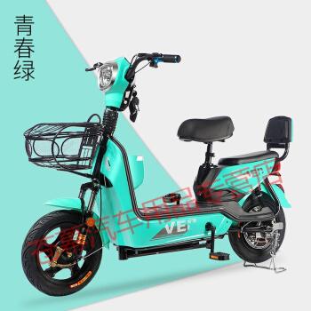 国标48v电动车电动自行车小型电瓶车男女两轮代步车配14a专用黑金电池