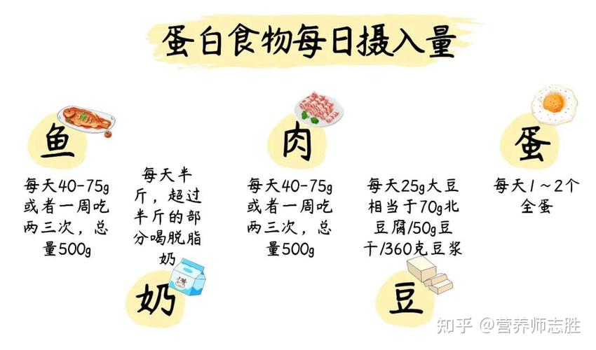 吃够优质蛋白为健康保驾护航