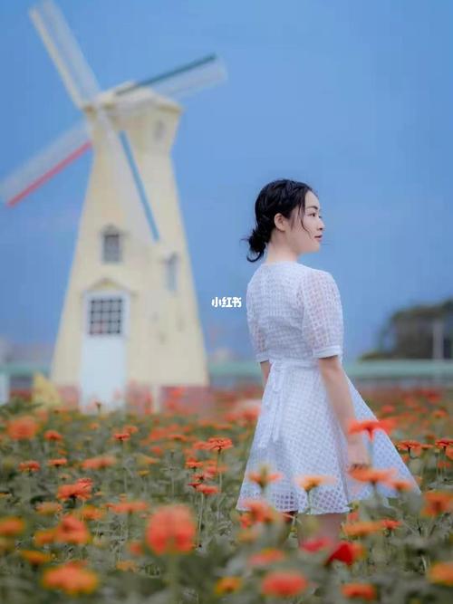美丽世界_景点_仙眷花洲海纳花海入口售票处攻略_周末
