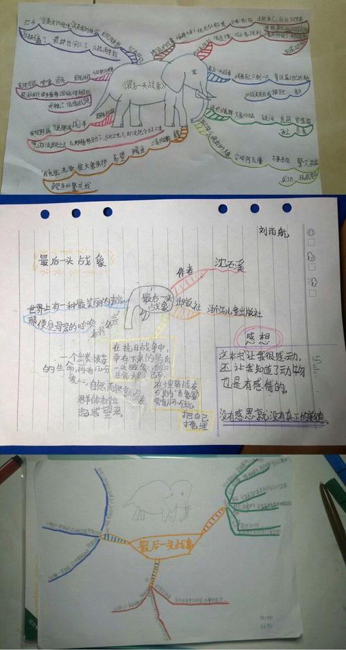 书友们用思维导图诠释自己对《最后一头战象》这本书的理解!