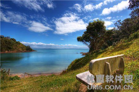 王亮李晨李美诗免费阅读