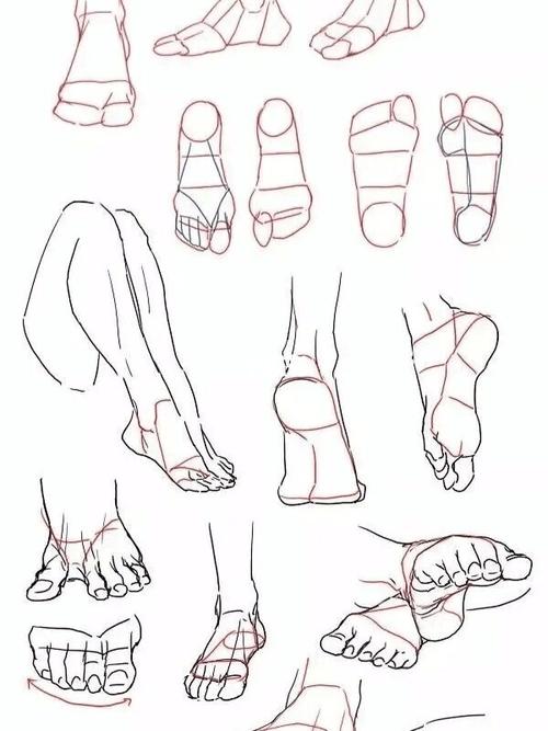 讲解脚的画法,教你如何画出好看的脚_画画_绘画_知识