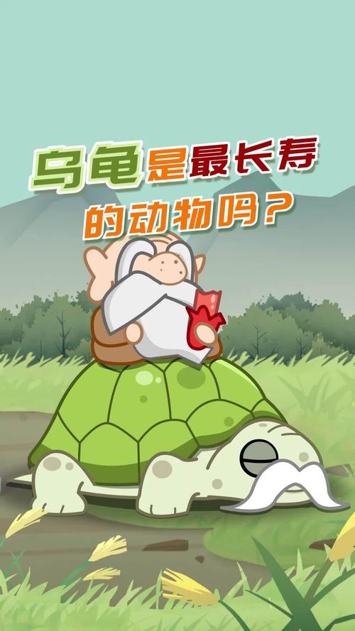 千年王八万年龟说的是真的吗?