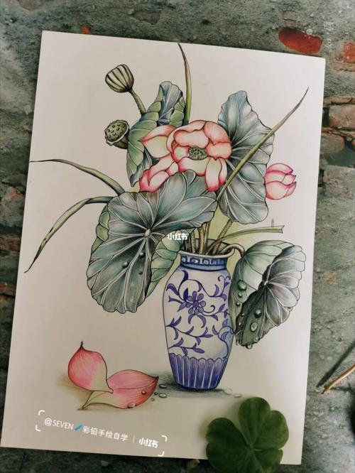 彩铅手绘:荷_彩铅_手绘_线稿_彩铅画_马克笔画_文化