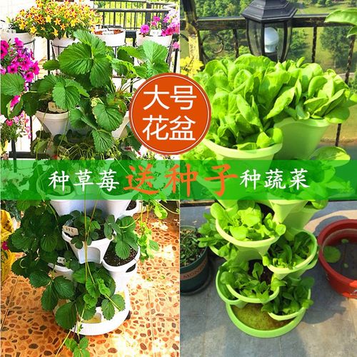 草莓种植盆立体多层花盆架子家庭室内阳台种菜盆神器家用种植箱