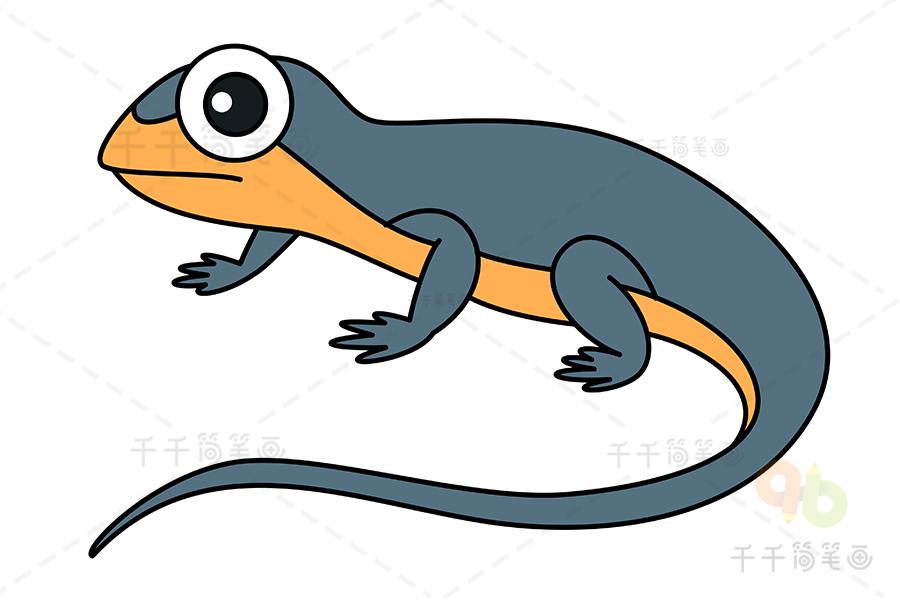 石龙子蜥蜴简笔画