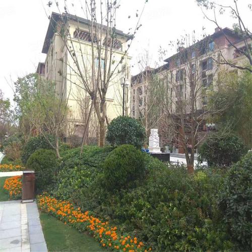 普罗旺世龙之梦西苑