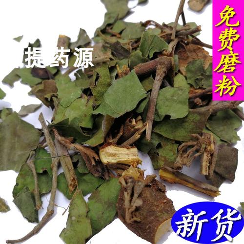 桑寄生野生功效|桑寄生野生的功效|桑寄生野生副作用