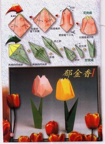 折纸大全花 怎么折郁金香的折法
