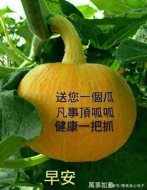 5月12日周二早安祝福语精选带文字图片清晨美好的一段