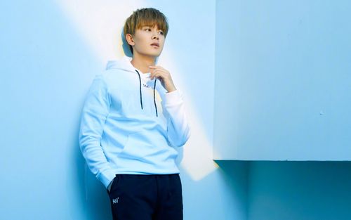 大陆明星,时尚,高清,帅气,休闲,任嘉伦,壁纸,1920x1200