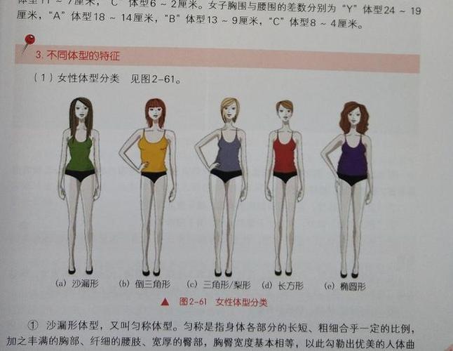 女生体型的分类