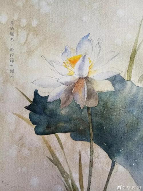 用水彩颜料和宝虹细纹纸临摹了恽寿平的荷花图