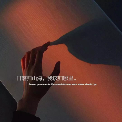 头像语录