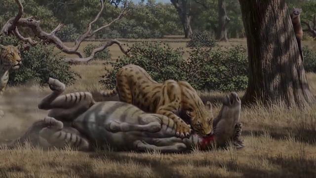 剑齿虎牙齿那么长,挡住了嘴巴,它是怎样咬住猎物的?