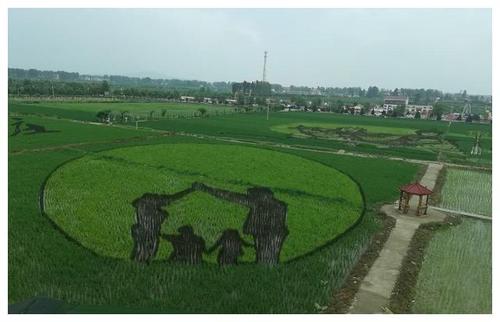 确山留庄稻田艺术公园