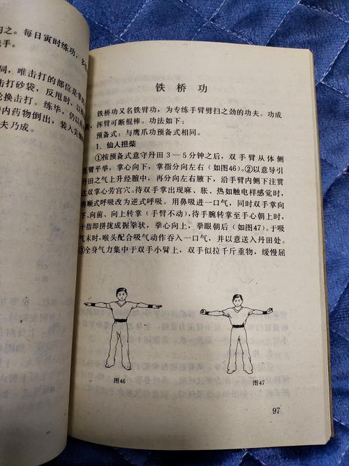 中国武术南少林八宝门掌门人莫文丹所有著作图片