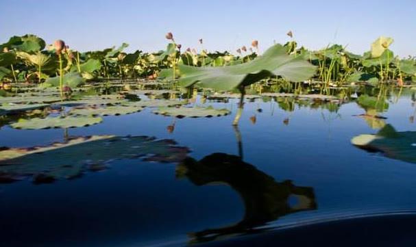 黑龙江景点推荐,莲花湖风景区#低音号免费语音导游