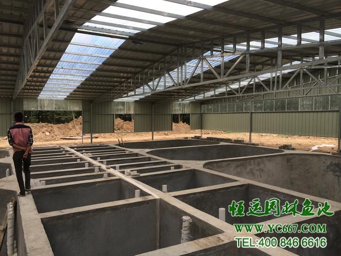恒运建设开封市杜良渔场锦鲤养殖生态鱼池