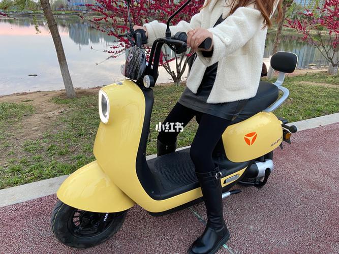 喜提雅迪冠能q6