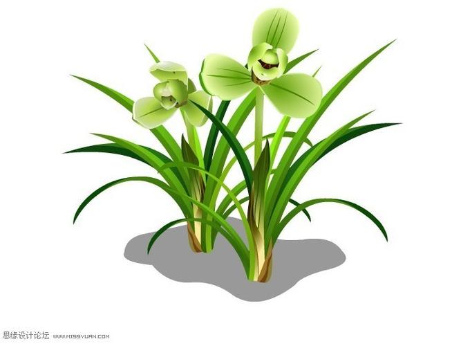 [萌图]卡通植物图片之草本植物的矢量图|素材求助专区