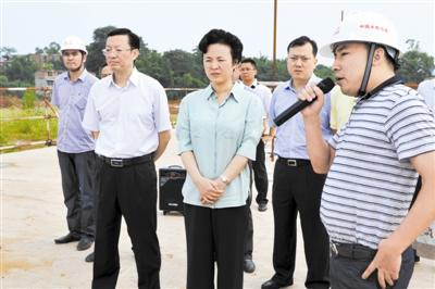 李佳深入雁江丹山镇 中和镇和城东新区调研