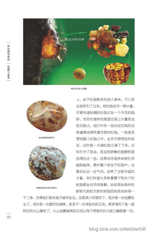 《神奇缅甸琥珀》连载(四)琥珀形成的地质条件