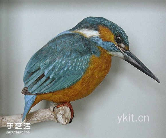 精细入微的纸鸟模型大师级鸟类纸模型图片