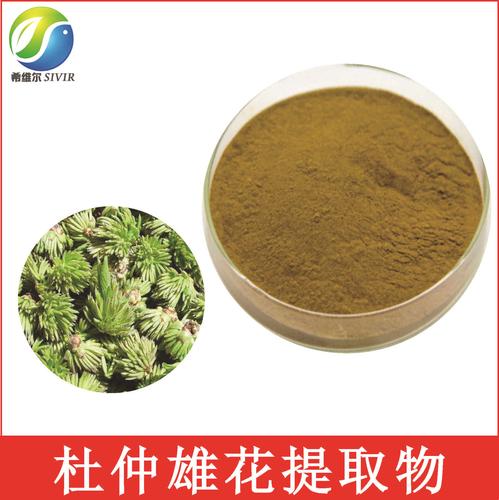 杜仲雄花提取物 10:1 比例萃取 杜仲雄花粉 杜仲雄花原粉