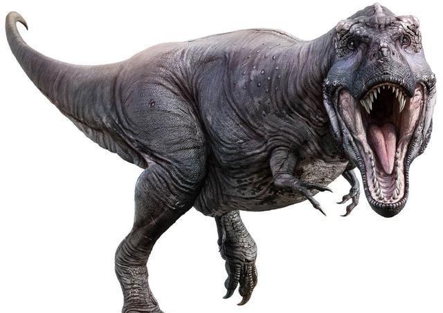 曾经的土地之王,霸王龙比特合力是鳄鱼的20倍