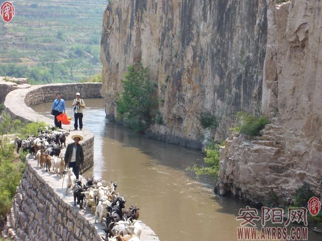 红旗渠送来"幸福水"
