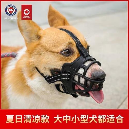 讨论大家出门遛狗会给狗狗带嘴套吗