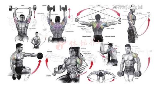 最全的肩膀训练动作