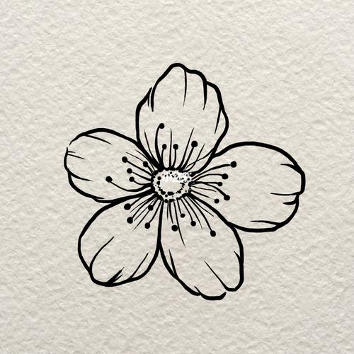 简笔画|一朵小花花_简笔画_奥斯陆攻略_教程_插画_简笔画教程_文化