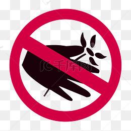 画一幅禁止摘花手抄报 手抄报版面设计图