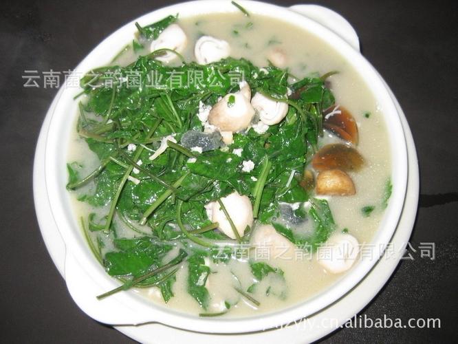 云南野生蔬菜 珍珠菜 支持验货 同城送货上门