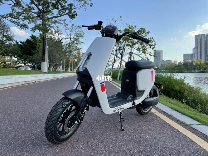 交作业～新大洲本田s07