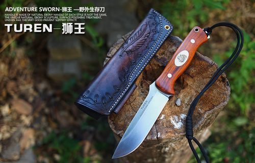 进口a2钢高硬度超锋利刀 雷胖子户外生存防身小直刀 战术锋利小刀