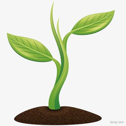 标签:草芽小草发芽绿色环保土地草芽矢量植物