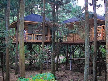 奉化商量岗旅游度假村