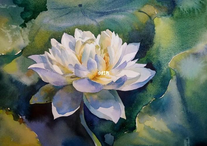 水彩荷花_荷花_水彩画_文化_绘画