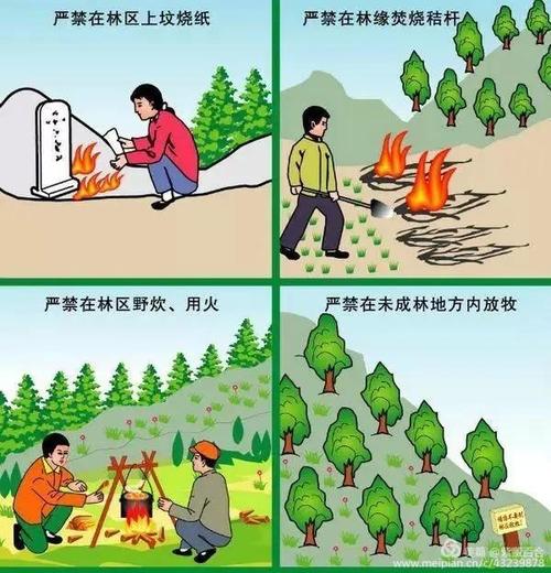 文明祭祀 森林防火——南唐梅小学在行动