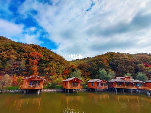 就搜索了下周边的景点,发现的这个新建景区,100块钱一日游挺便宜的,就
