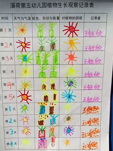 这是我们种植的记录表 教学优势       实行小班制教学