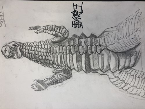 阳光之星教育2020暑期素描提高c班陶博文