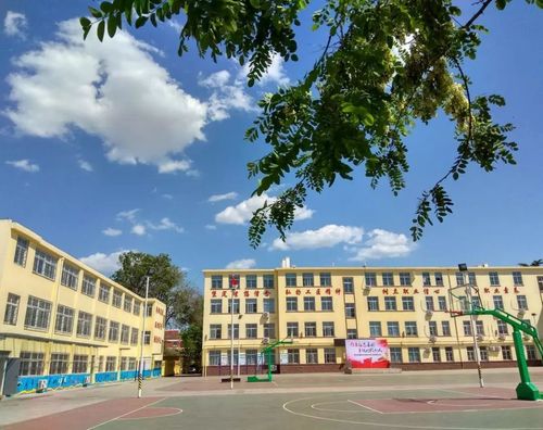 我的学校 我的家——青岛交通职业学校校园篇