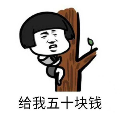 可不可以再给五十块表情包素材斗图表情