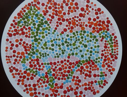 8道色盲测试题,图片中全都是可爱的小动物,看看你能答对几道?